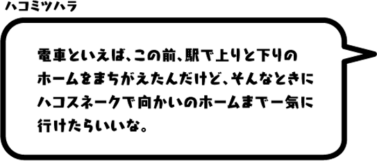 ハコミツハラ：電車といえば、この前、駅で上りと下りのホームをまちがえたんだけど、そんなときにハコスネークで向かいのホームまで一気に行けたらいいな。