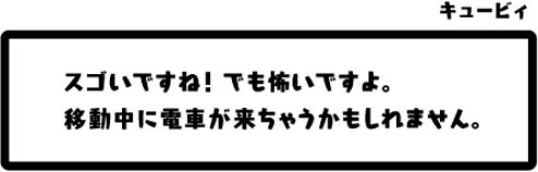 キュービィ：スゴいですね！でも怖いですよ。移動中に電車が来ちゃうかもしれません。