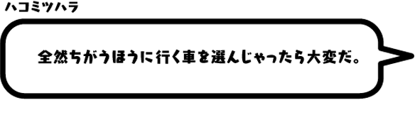 ハコミツハラ：全然ちがうほうに行く車を選んじゃったら大変だ。